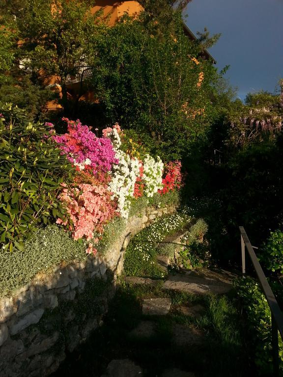 Casa Vacanze Le Violette Villa Brunate Exterior foto